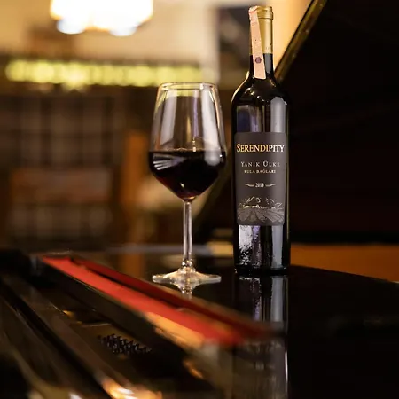 Anemon Koleksiyon Galata