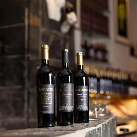 Anemon Koleksiyon Galata 3* イスタンブール