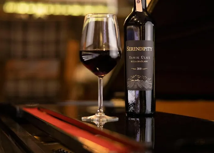 Anemon Koleksiyon Galata